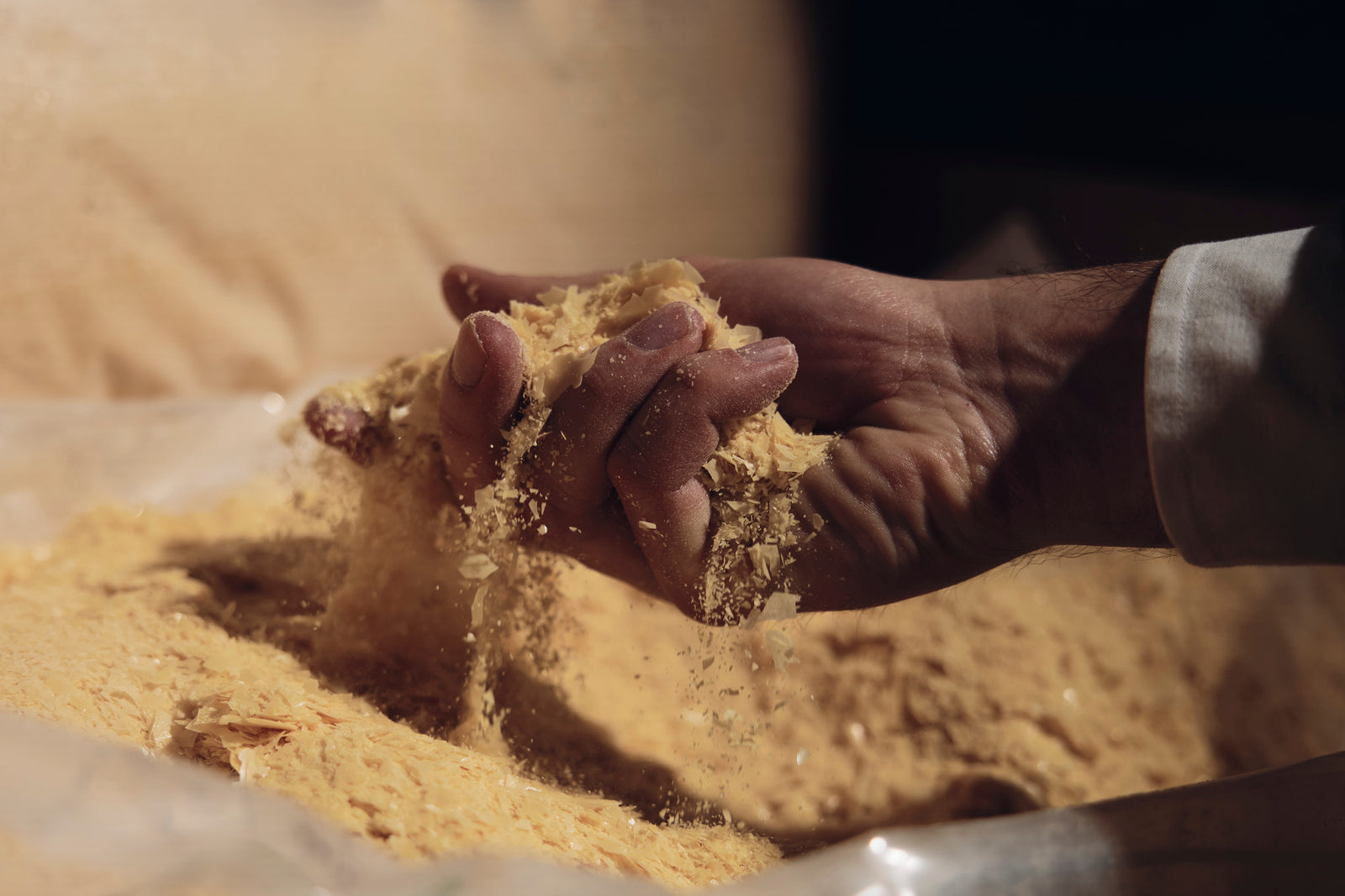 Carnauba – The World's Finest Natural Wax